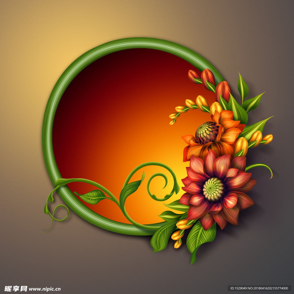 高清花卉图片