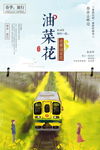 手绘小清新油菜花旅游踏青海报