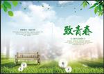 致青春封面