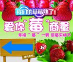草莓采摘海报