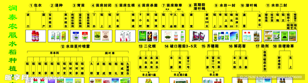 水稻种植方案