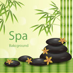 矢量SPA素材