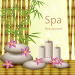 SPA素材