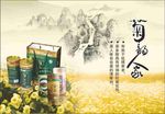 菊花茶背景