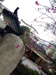 楼下一角