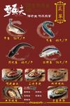 奇鱼夫