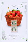 草莓海报