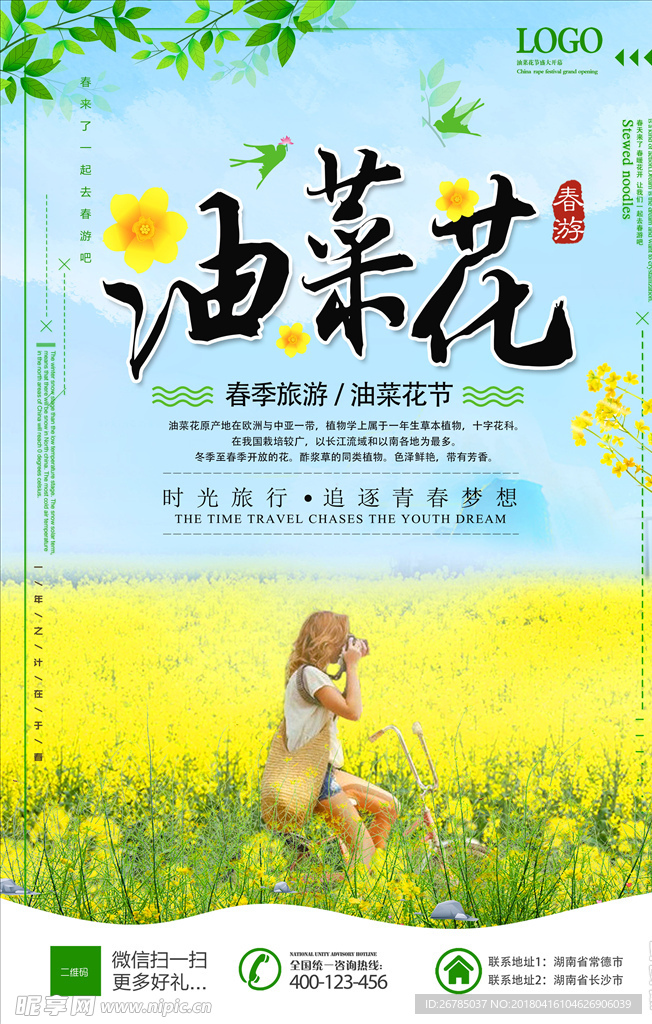 油菜花海报