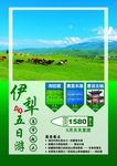 伊犁旅游