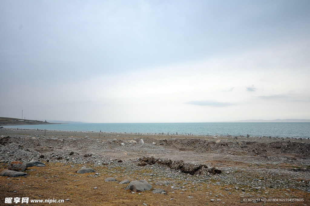 青海湖鸟类栖息地