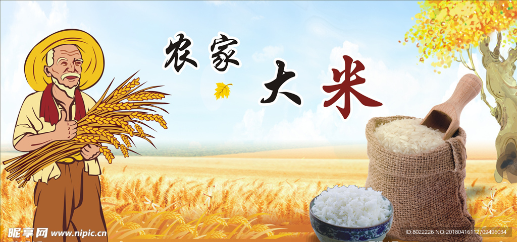 大米展板