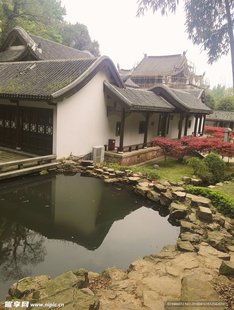 风景