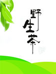 野生茶 手册封面