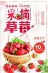 采摘草莓