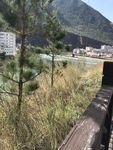风景