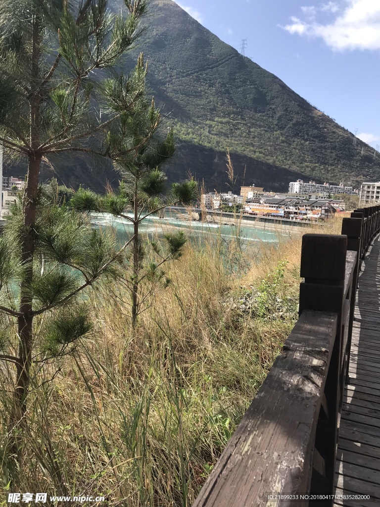 风景