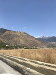 麦田