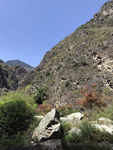 山