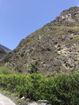 山