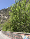 山