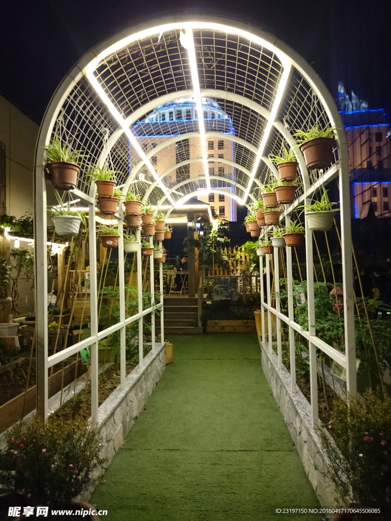 花架通道