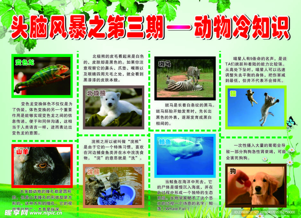 头脑风暴之第三期动物冷知识