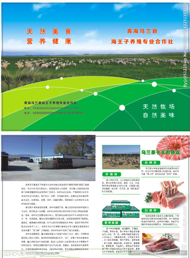 乌兰茶卡羊宣传折页