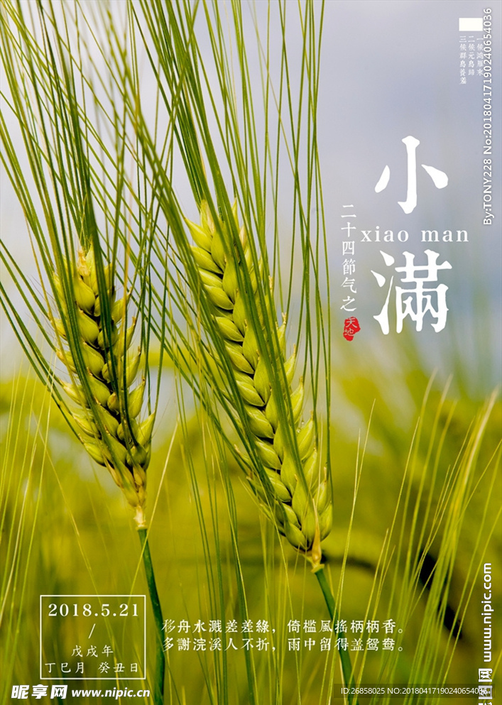 小满