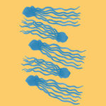 海洋生物 海姆