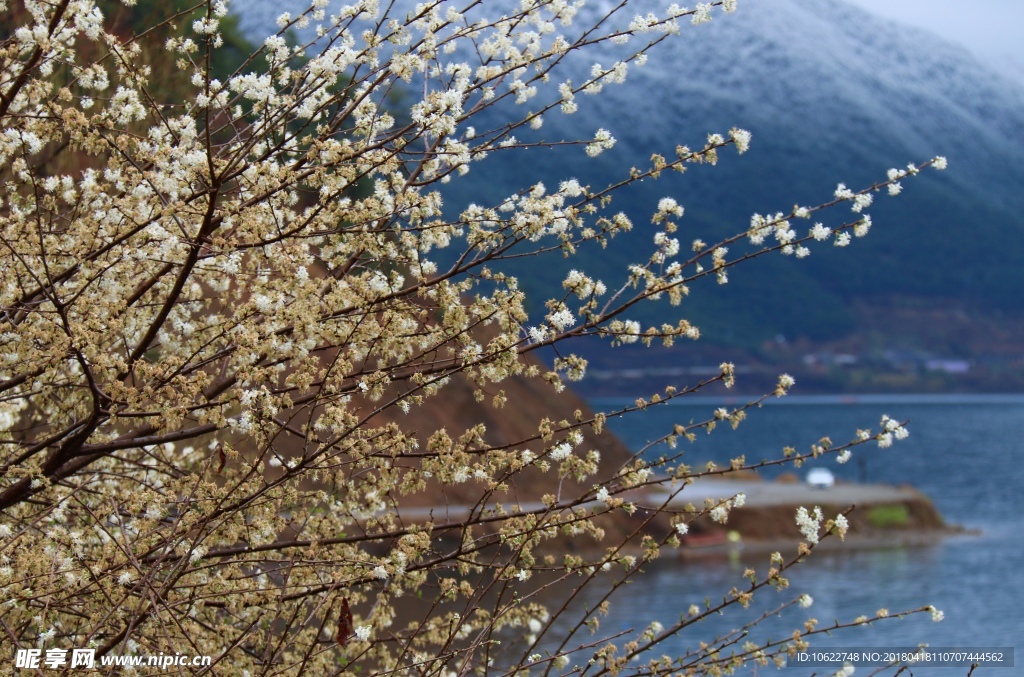 4月泸沽湖风景