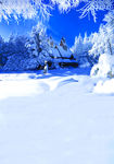 雪