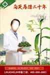 铁皮石斛鲜条