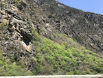 高山