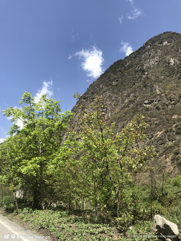 高山