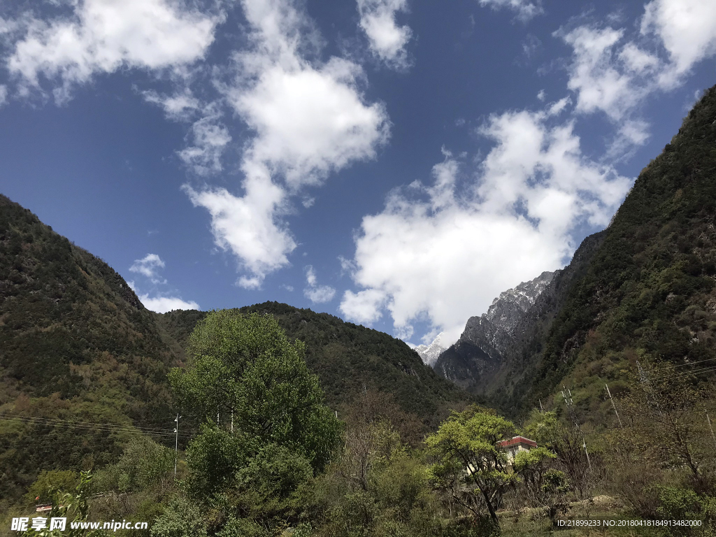 高山