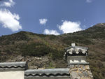 高山