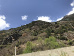 高山