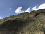 高山
