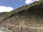 高山