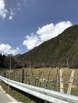 高山