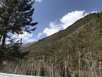 高山
