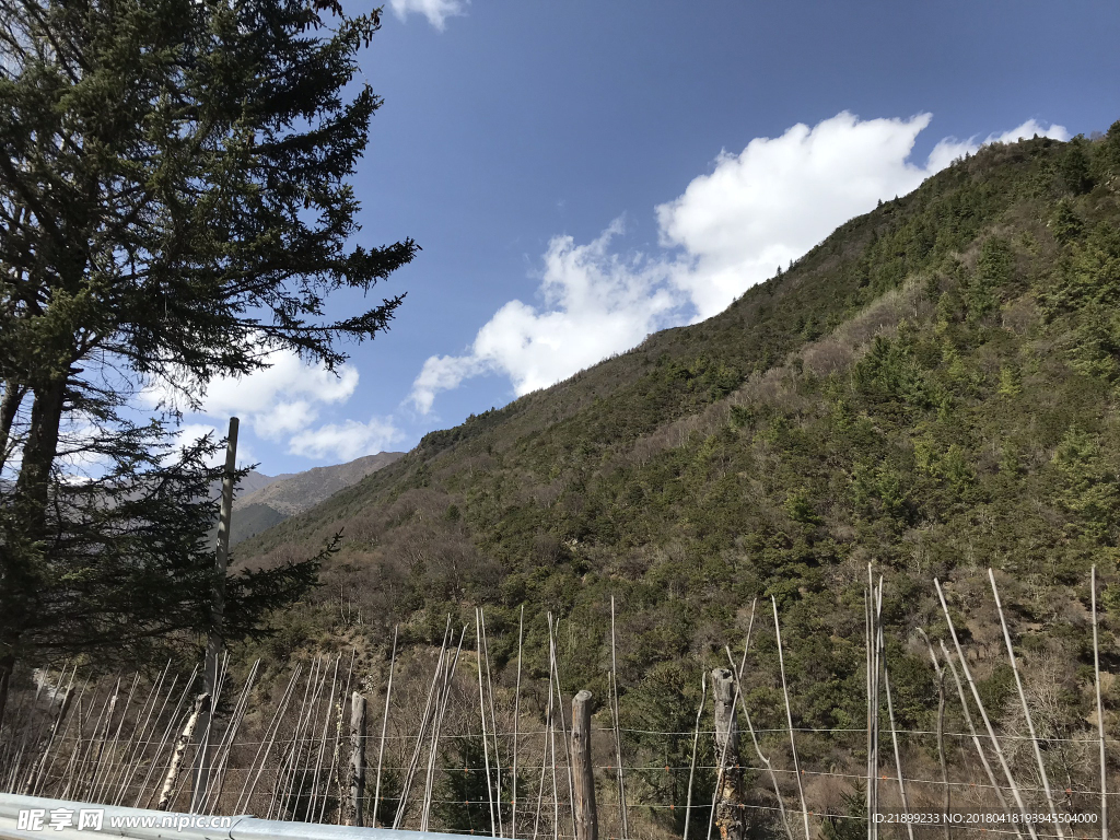 高山
