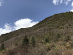 高山