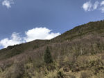 高山