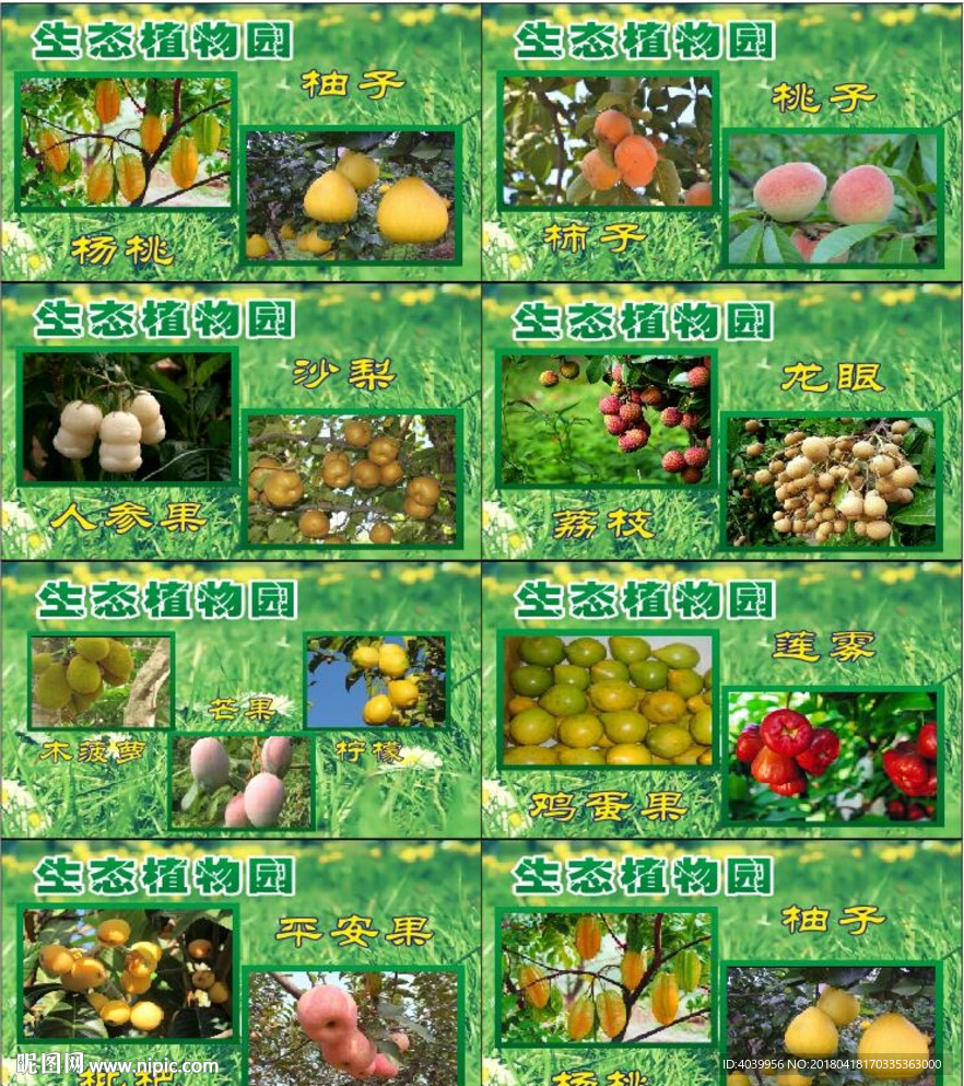 生态植物园