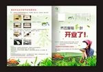 茶叶宣传单