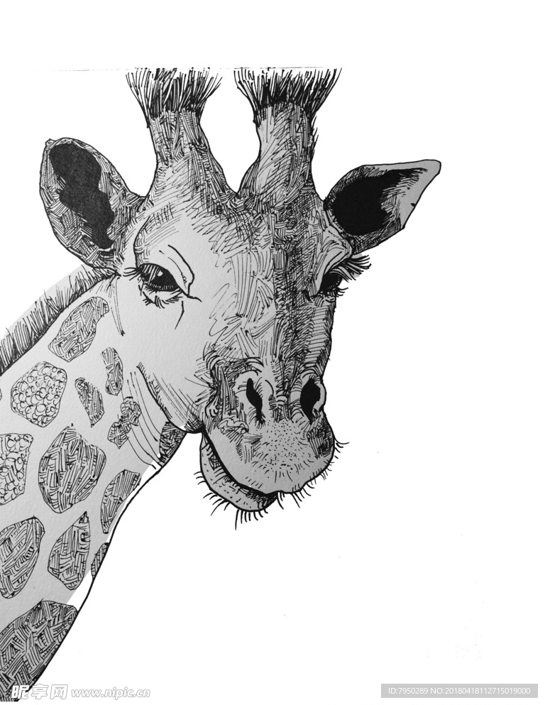 插画