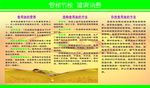 食用油的营养