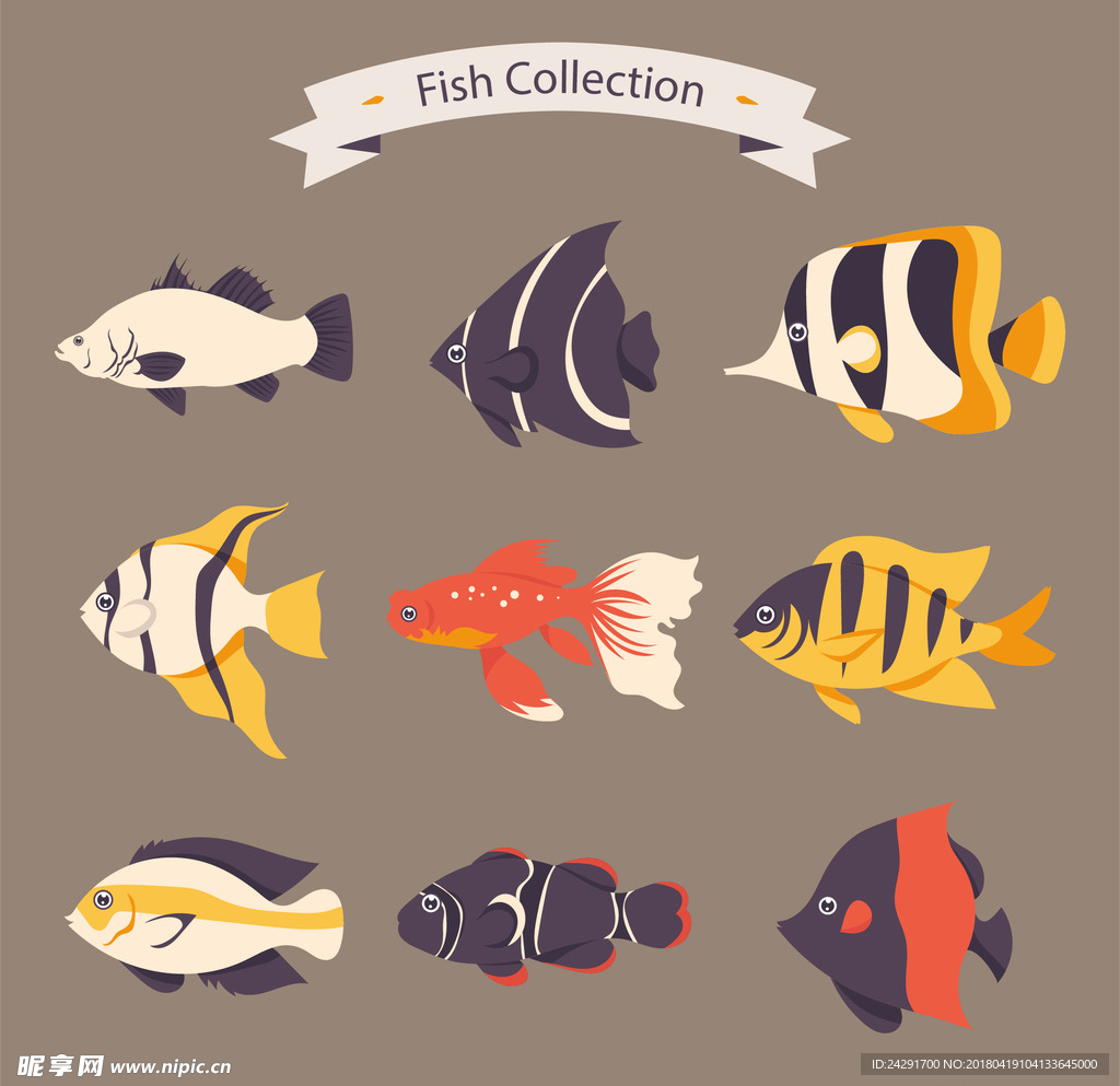 鱼 鱼插画 卡通鱼 海洋鱼类