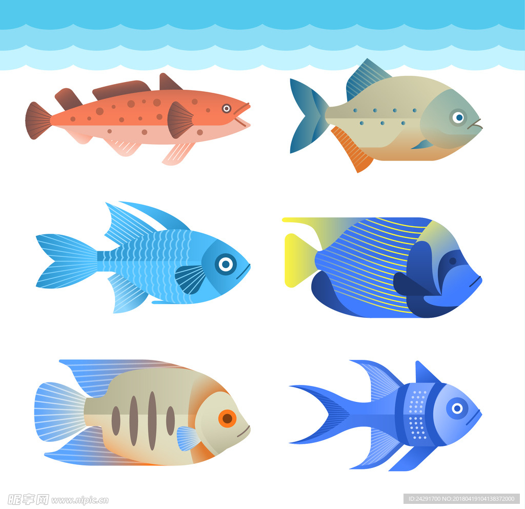 鱼 鱼插画 卡通鱼 海洋鱼类